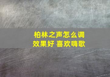 柏林之声怎么调效果好 喜欢嗨歌